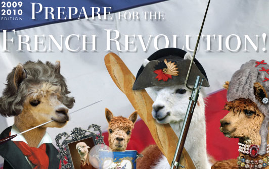 AcaDec 2009-2010 French Revolution Curriculum Released